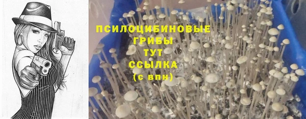 гидропоника Пестово