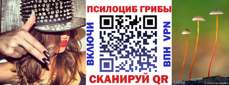 omg сайт  Нытва  Псилоцибиновые грибы Magic Shrooms 